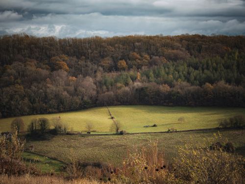 Free Captivating view of a lush autumn landscape with vibrant foliage and clear sky. Stock Photo