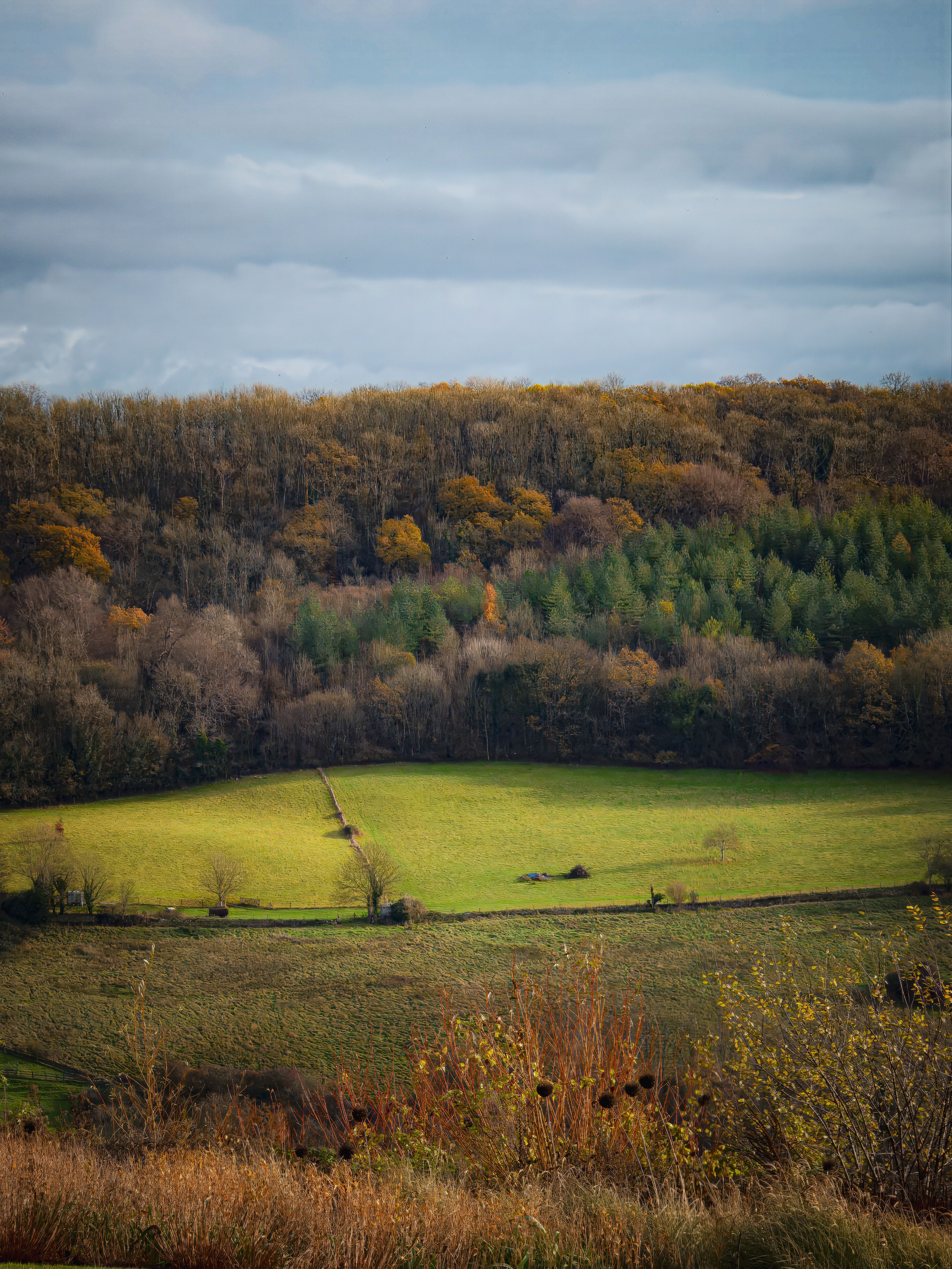 Serene Autumn Landscape with Rolling Hills · Free Stock Photo