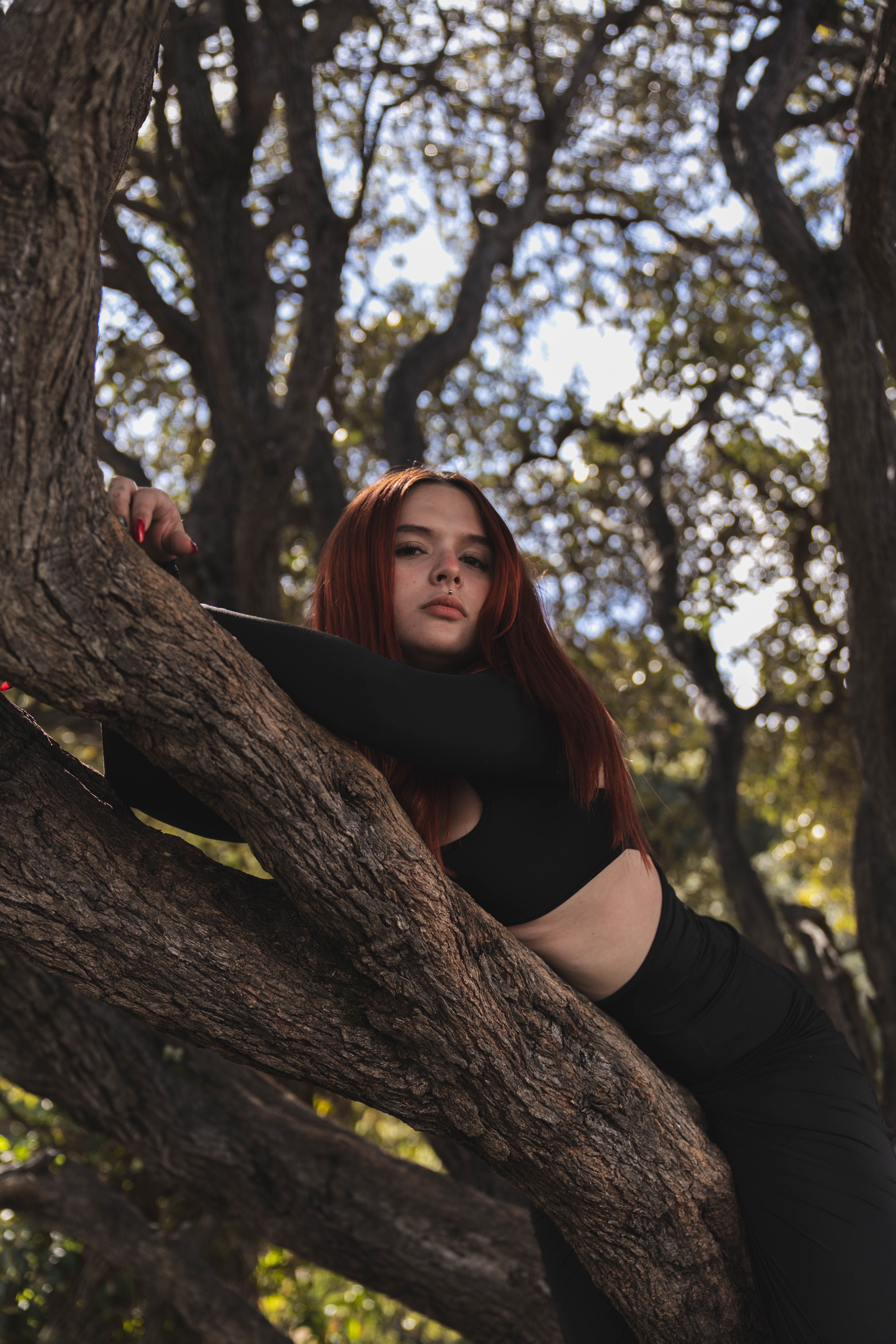 Woman in Black Outfit Posing on Tree · Free Stock Photo