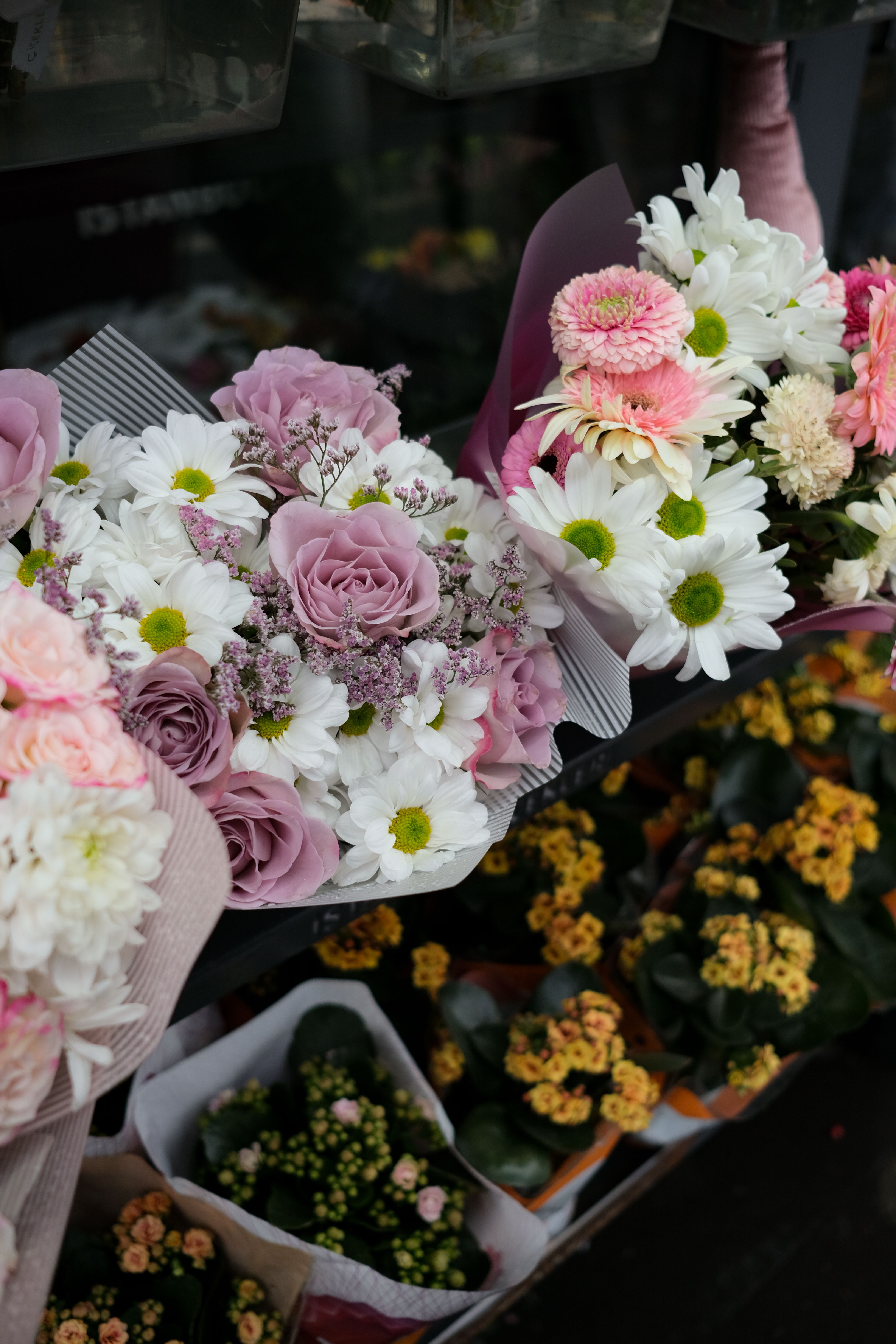 Flowers in Fujairah