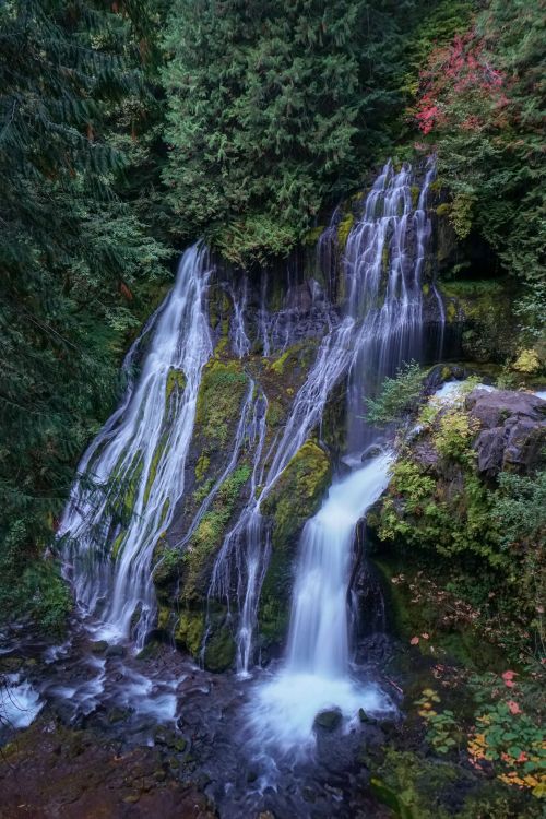 Free A stunning waterfall cascades through a lush forest, creating a serene nature scene. Stock Photo