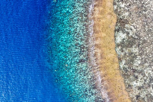 Free Aerial Photography of Seashore Stock Photo