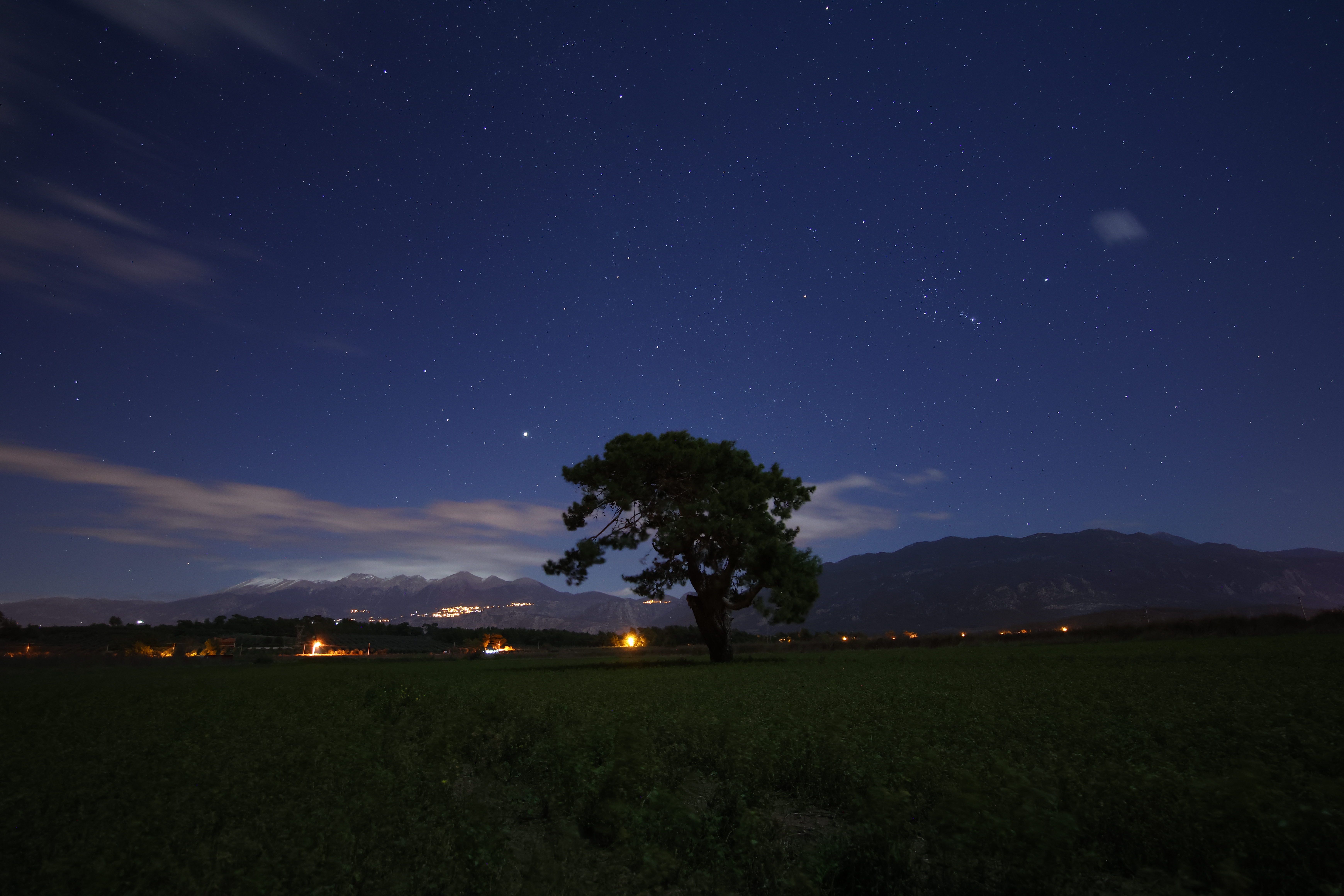 Lonely Tree Under Starry Night Sky Landscape · Free Stock Photo