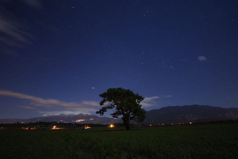 Lonely Tree Under Starry Night Sky with Moving Clouds · Free Stock Photo