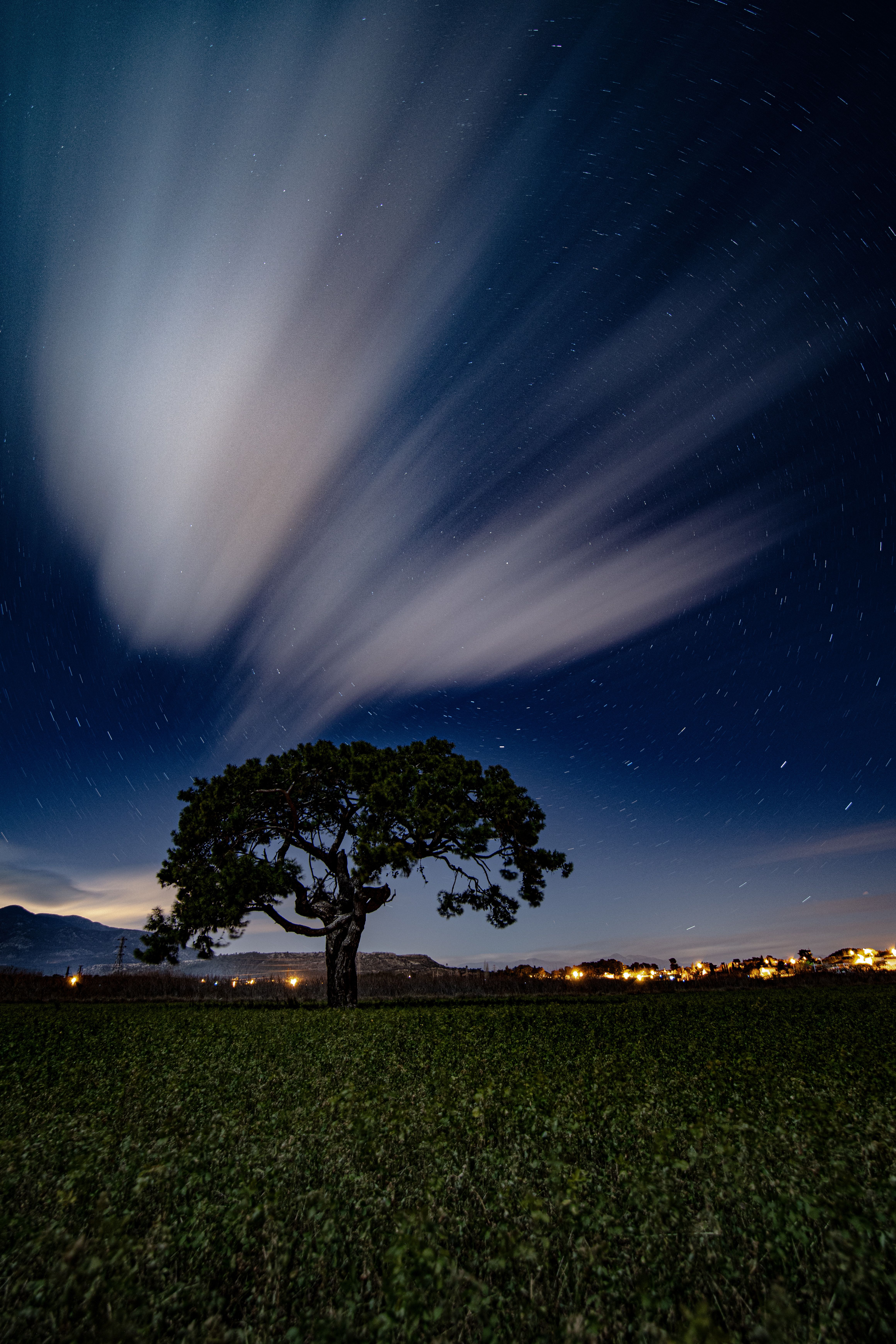 Lonely Tree Under Starry Night Sky with Moving Clouds · Free Stock Photo