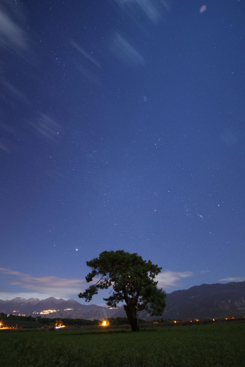 Lonely Tree Under Starry Night Sky with Moving Clouds · Free Stock Photo