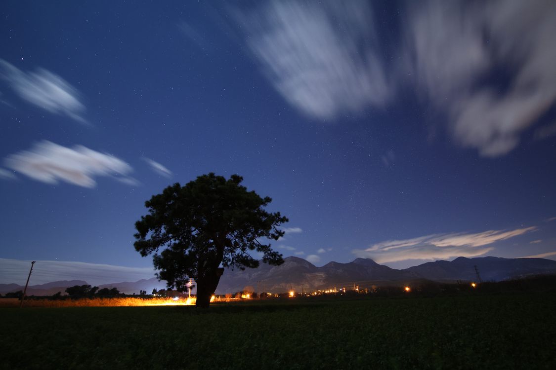 Stunning Night Sky with Lone Tree Landscape · Free Stock Photo