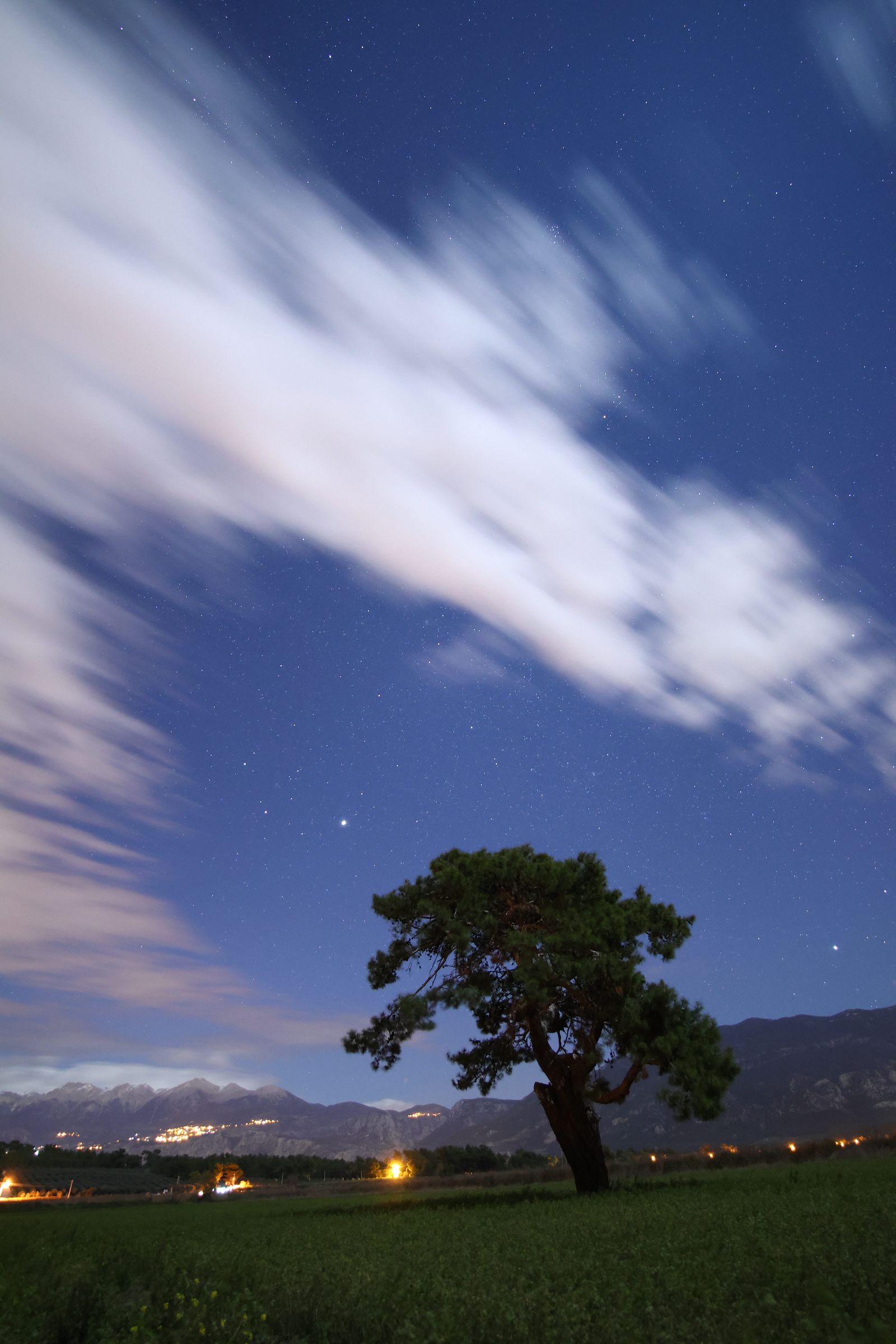 Lonely Tree Under Starry Night Sky with Moving Clouds · Free Stock Photo