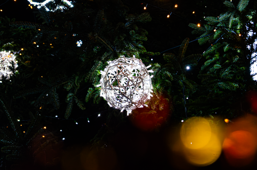 Bright holiday lights and ornaments on an evergreen tree create a festive atmosphere.