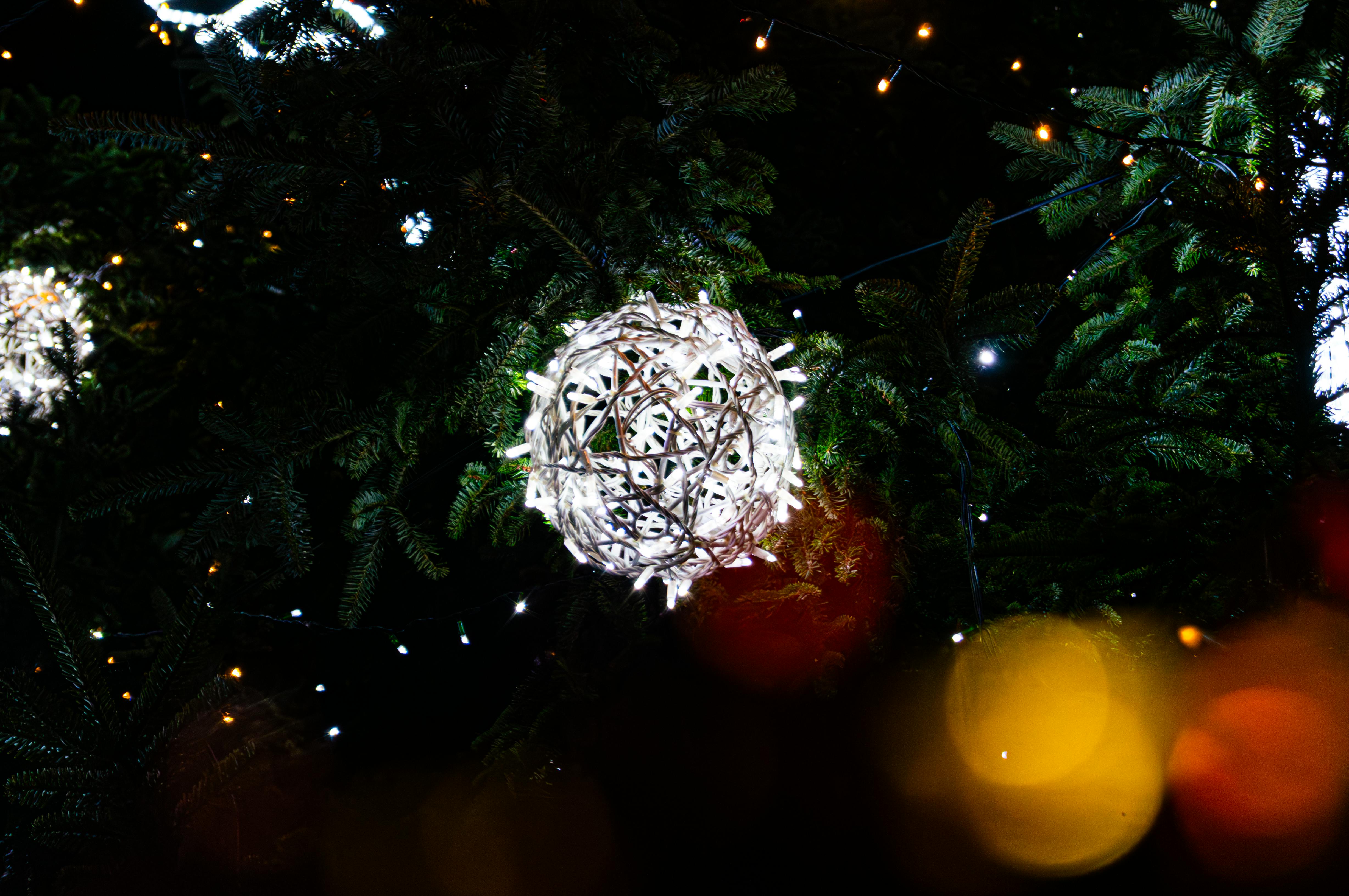 8.000+ melhores imagens de Plumpy+mage+++在线+视频+黑料 · Download 100% ...