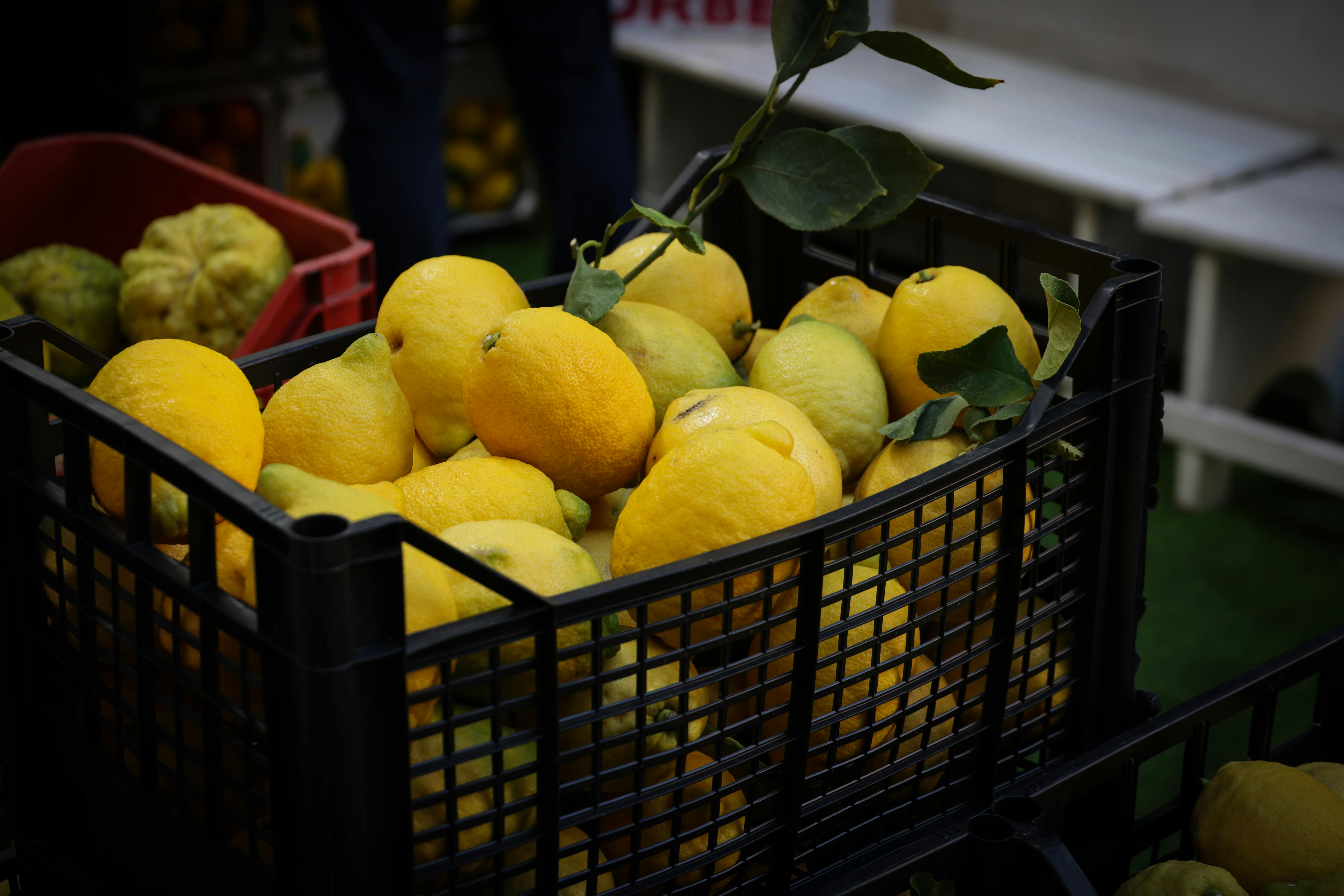 Free stock photo of food, fruit, healthy fruit