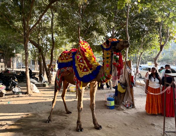 Udaipur Mount Abu Retreat - Transfers