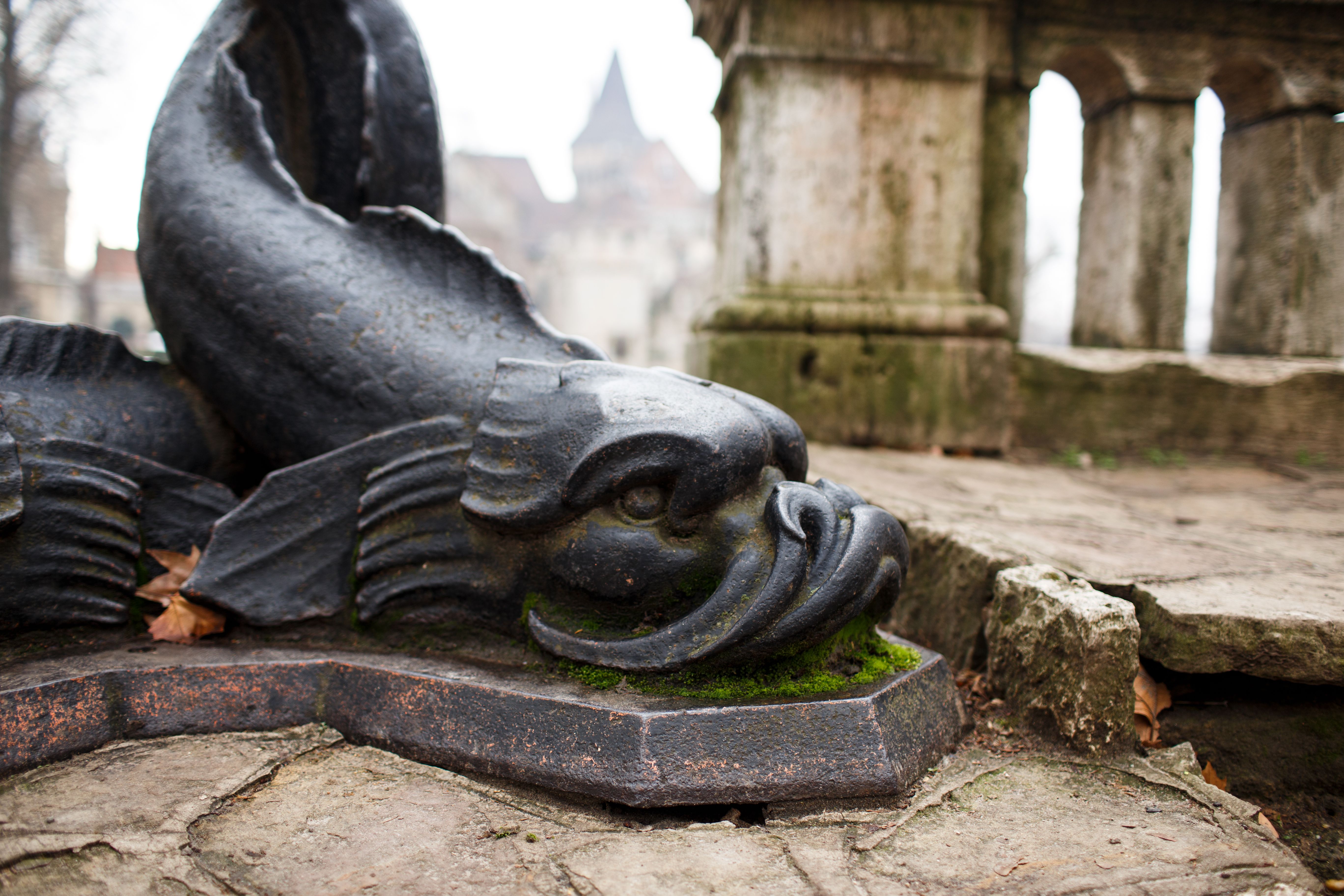Close-up of Ornate Stone Fish Sculpture in Park · Free Stock Photo