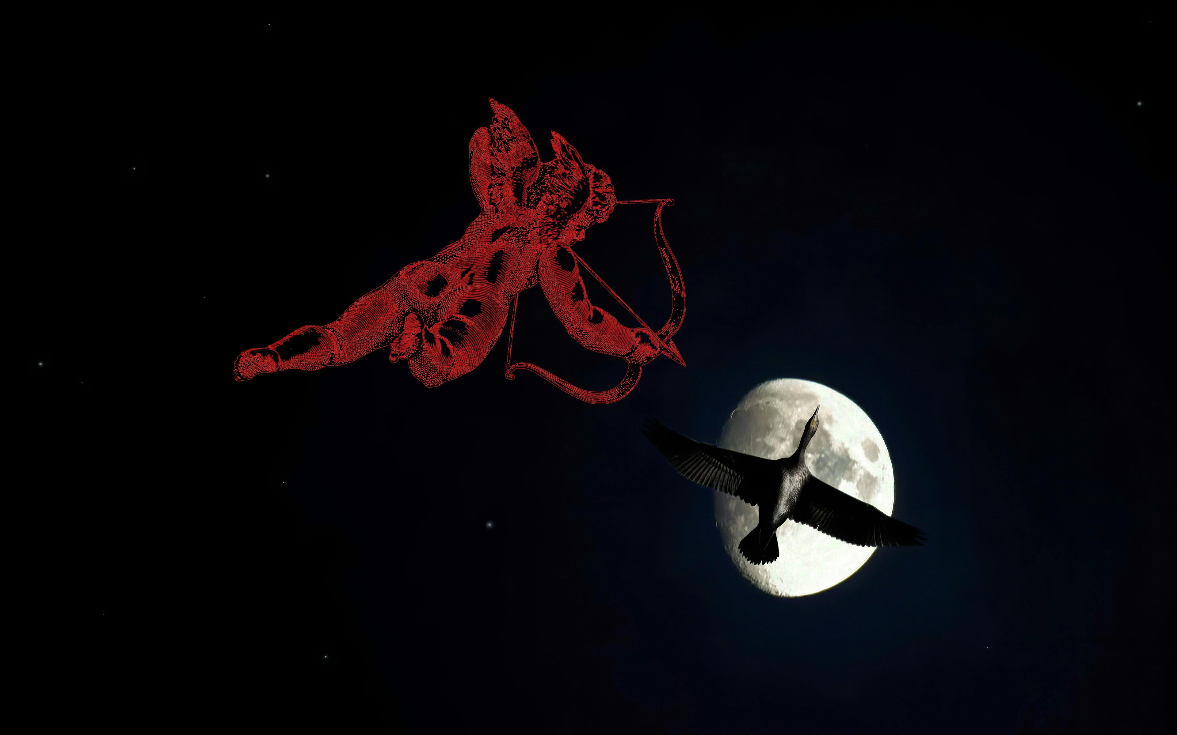 Gratis lagerfoto af bue og pile, cupidon, engel, fantasy