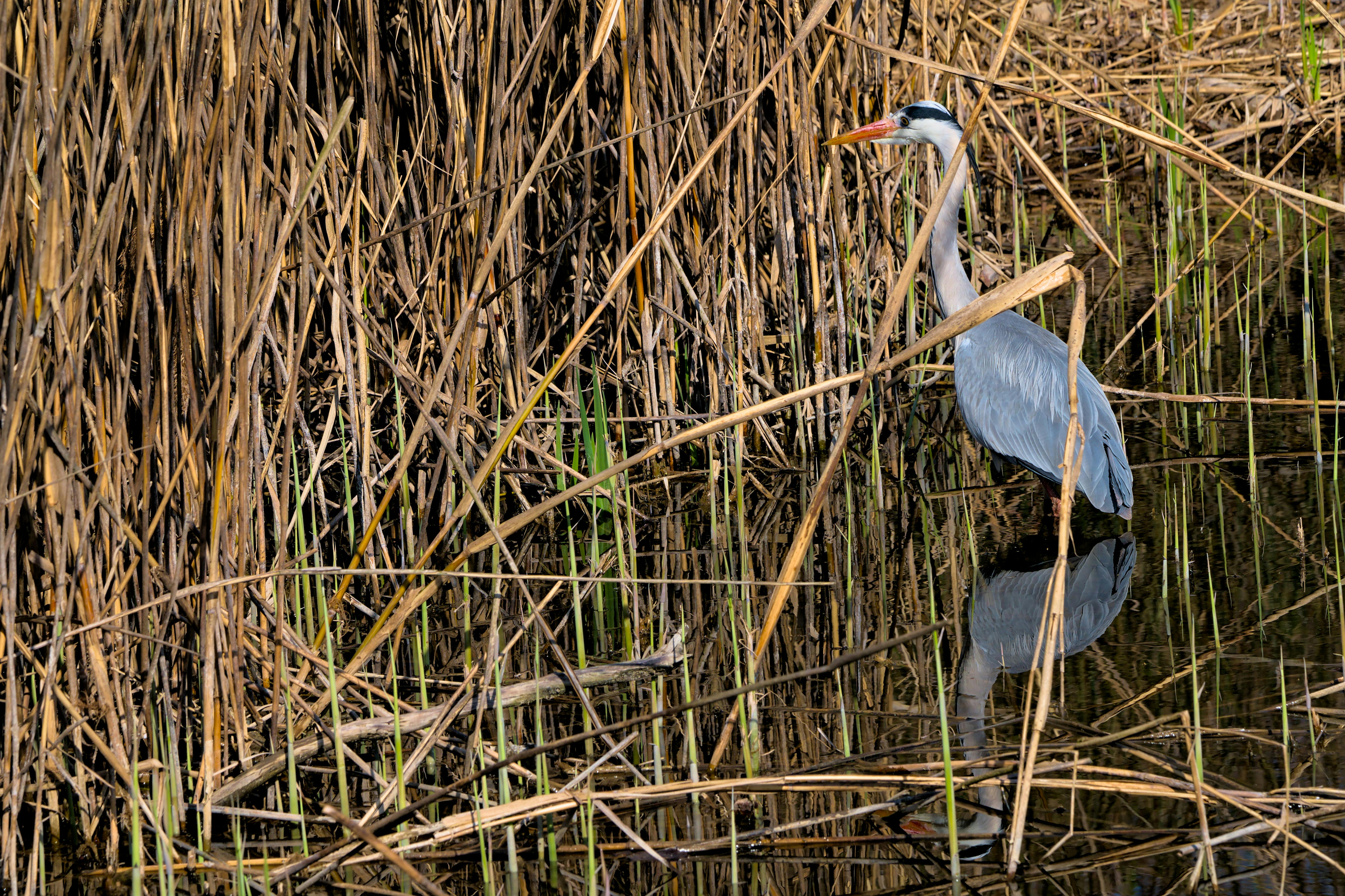 Secret Investment Opportunities Unveiled: Hidden Investments You Should Know