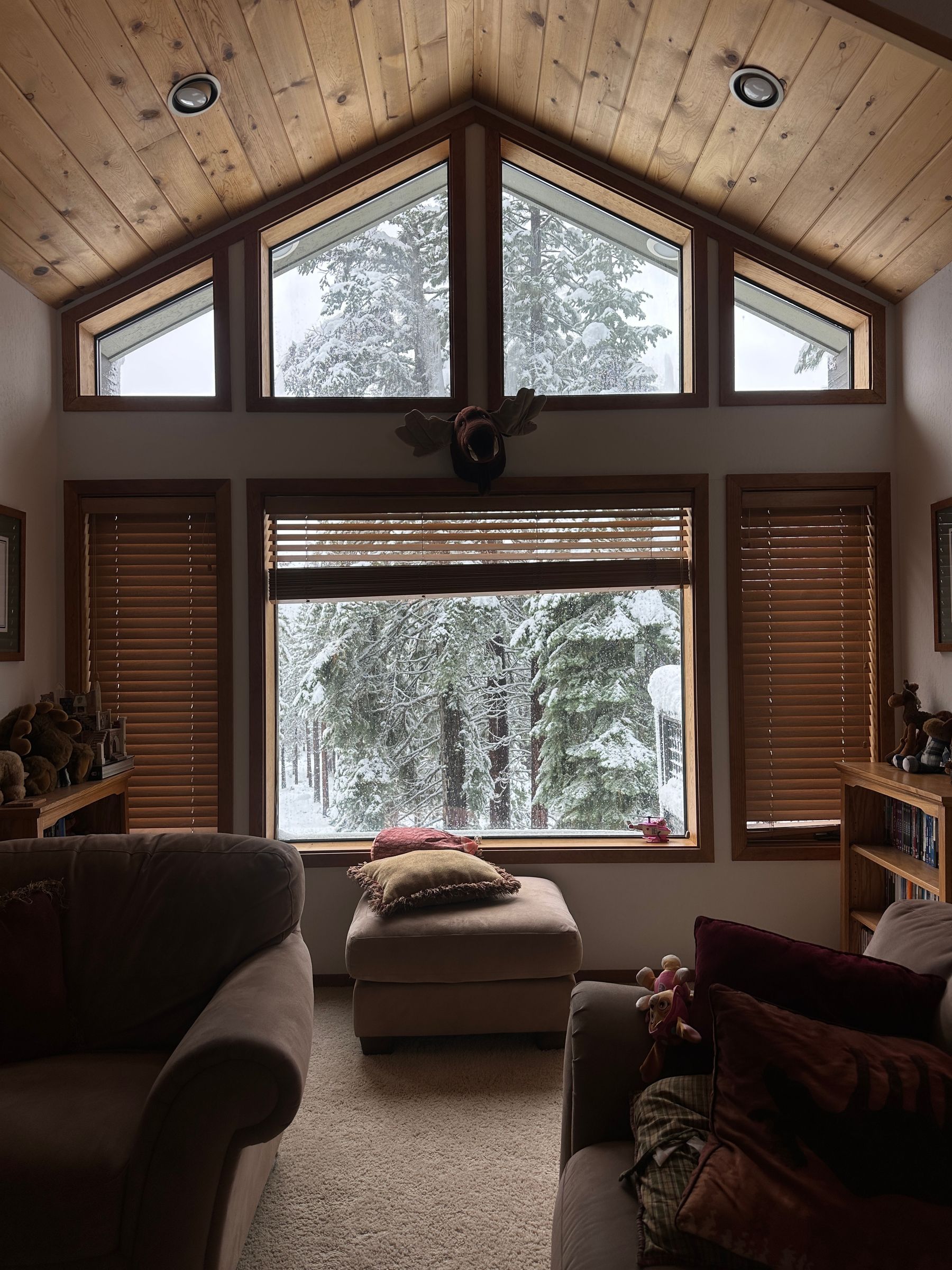 Living room facing a snowy forest through large windows