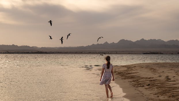 A girl walks along the sandy beach at sunset, accompanied by flying birds, creating a serene and peaceful scene.