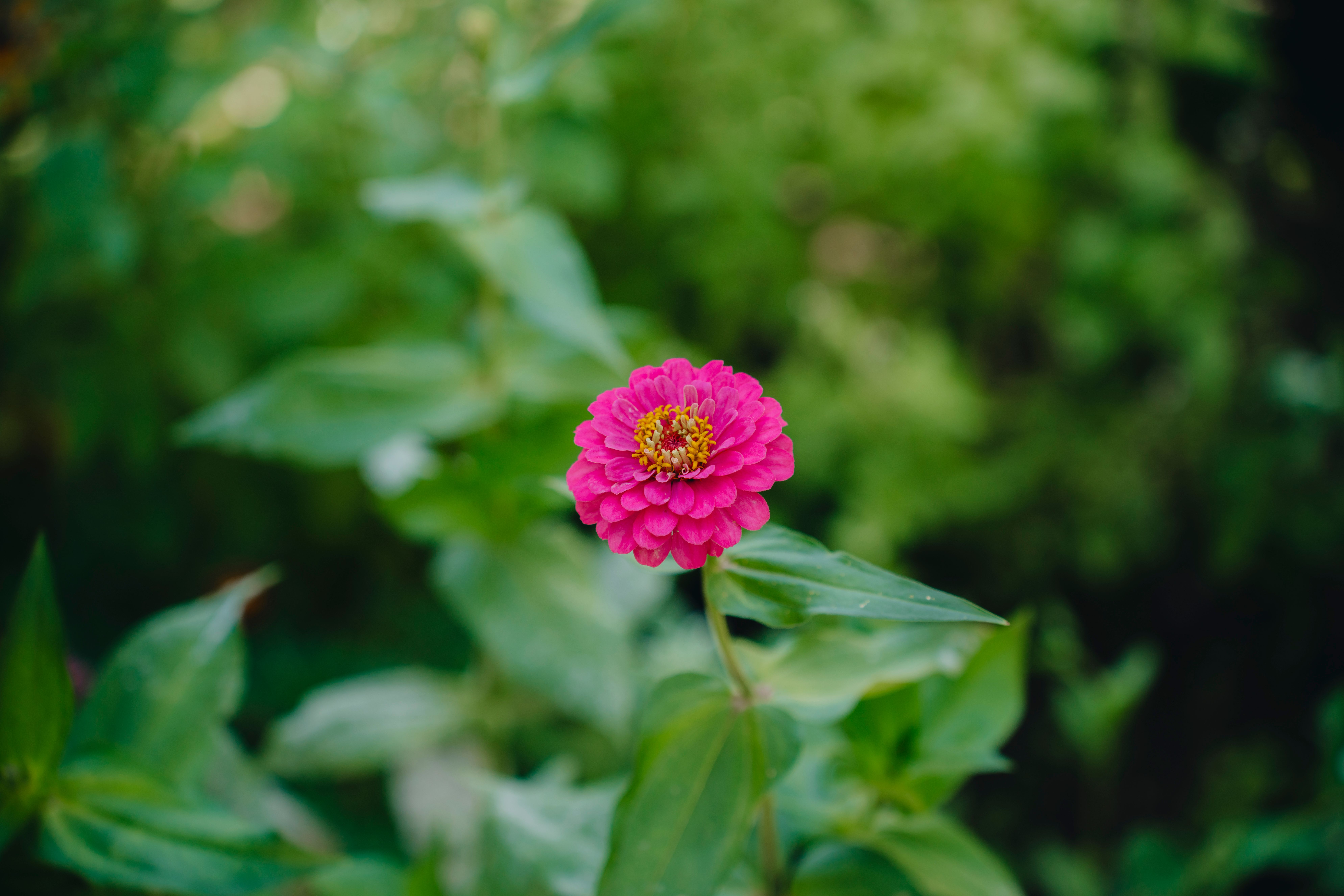 Winterizing Your House: 5 Areas to Focus On Before the Cold Hits