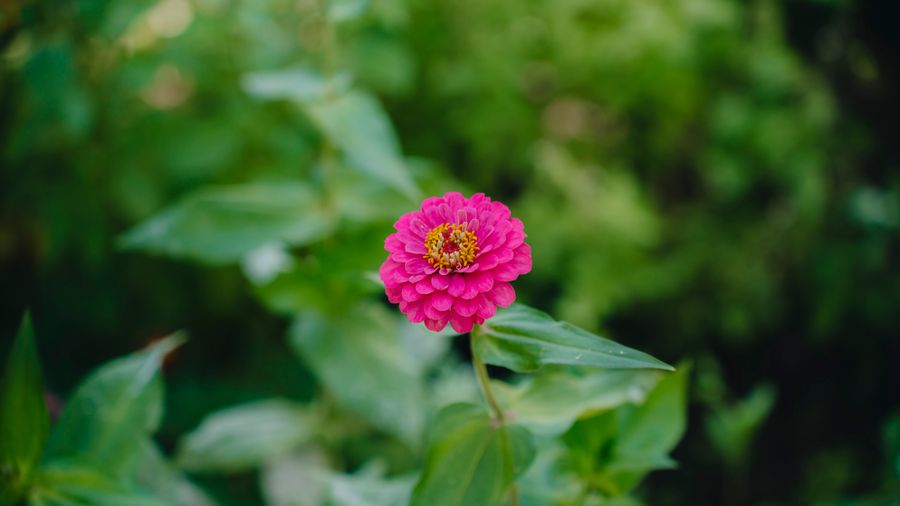 Winterizing Your House: 5 Areas to Focus On Before the Cold Hits