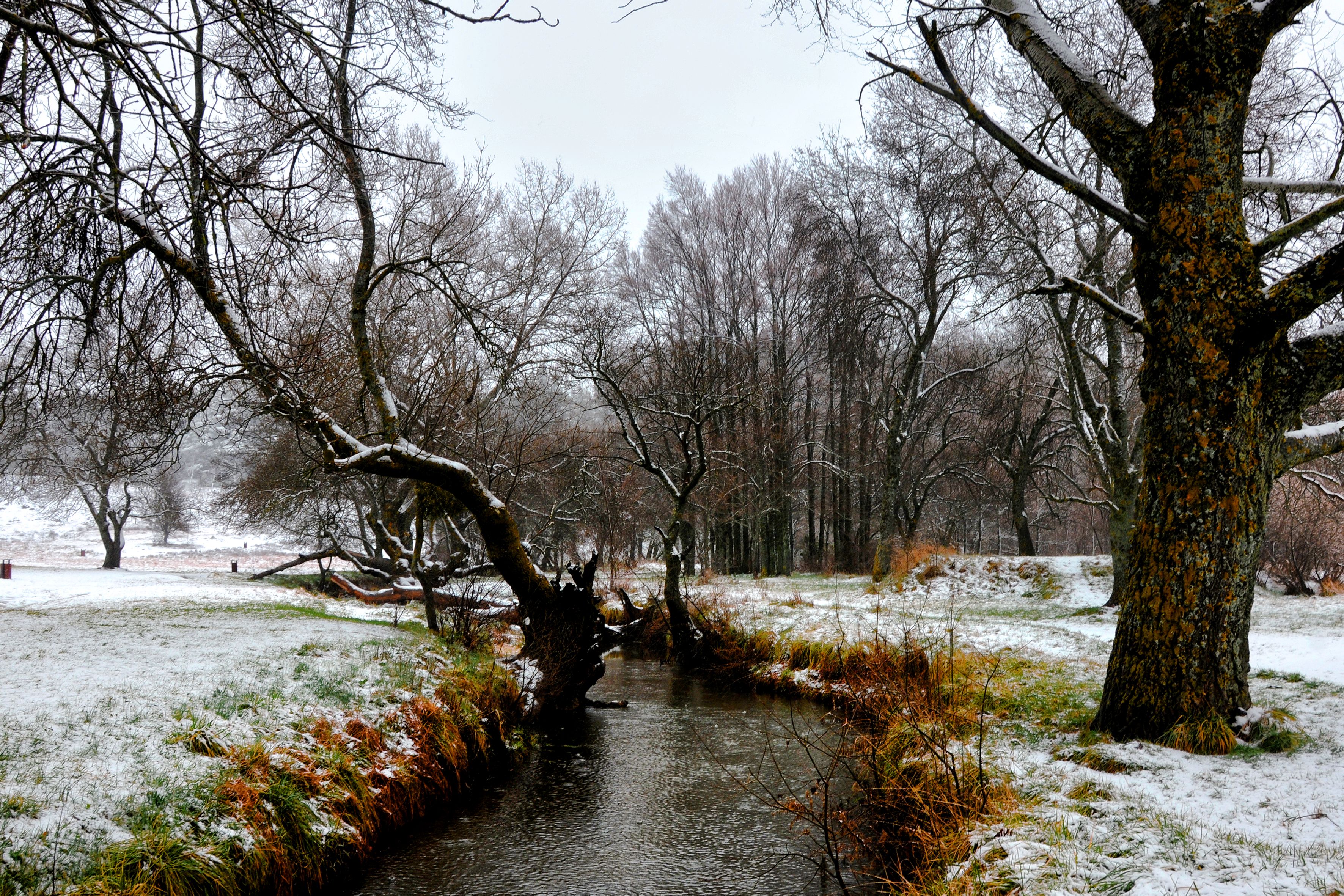 Serene winter landscape featuring a snowy stream in Ifrane, Morocco. - Ifrane