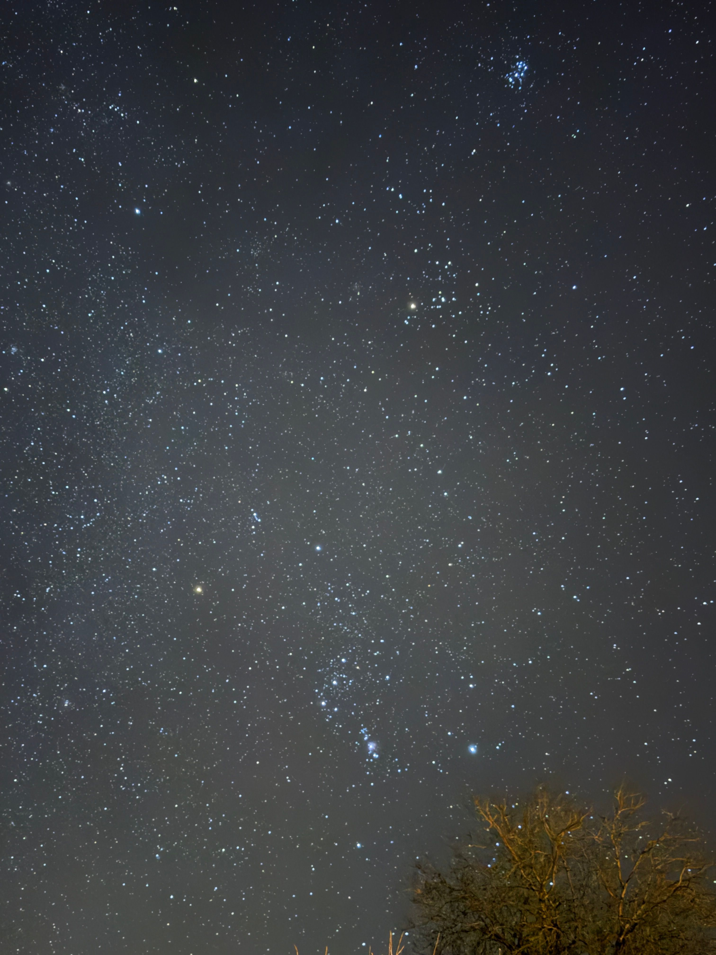 What Are The Constellations.Doc