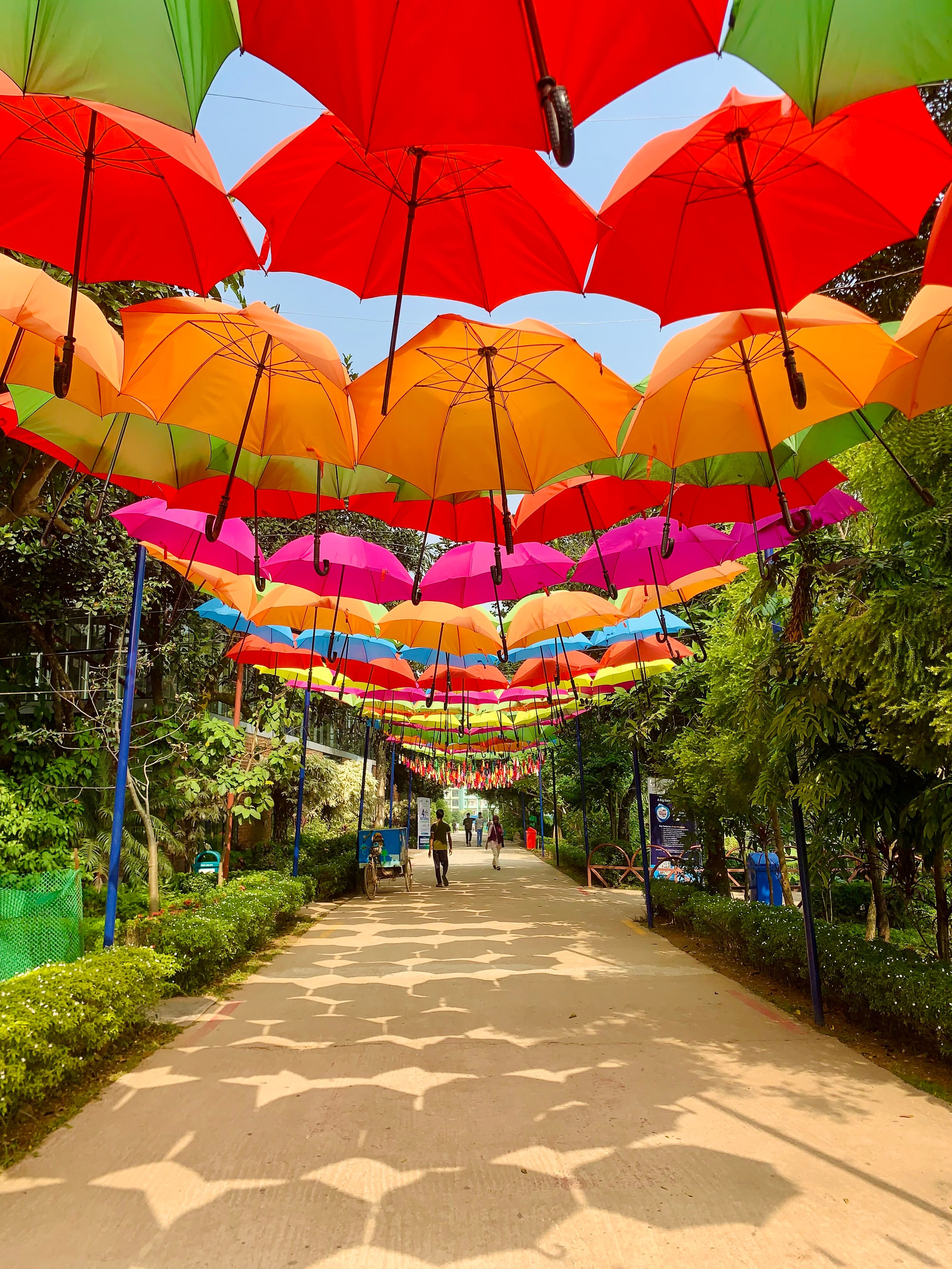 Colorful Umbrella Canopy in Outdoor Park · Free Stock Photo