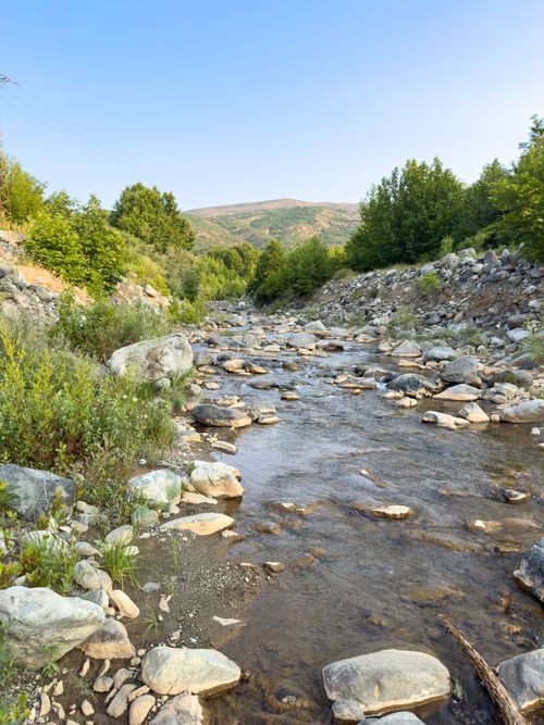 Free Tranquil stream flowing through rocky landscape in Kuşhane, Elazığ, surrounded by lush greenery. Stock Photo