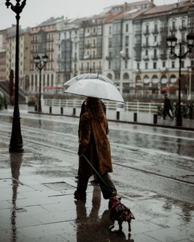 A person walks with an umbrella and a dog on a rainy city street lined with colorful buildings.