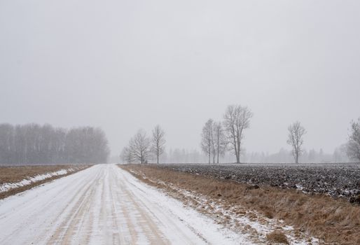 A snowy road in Rapla County, Estonia, lined with bare trees under a gray winter sky.