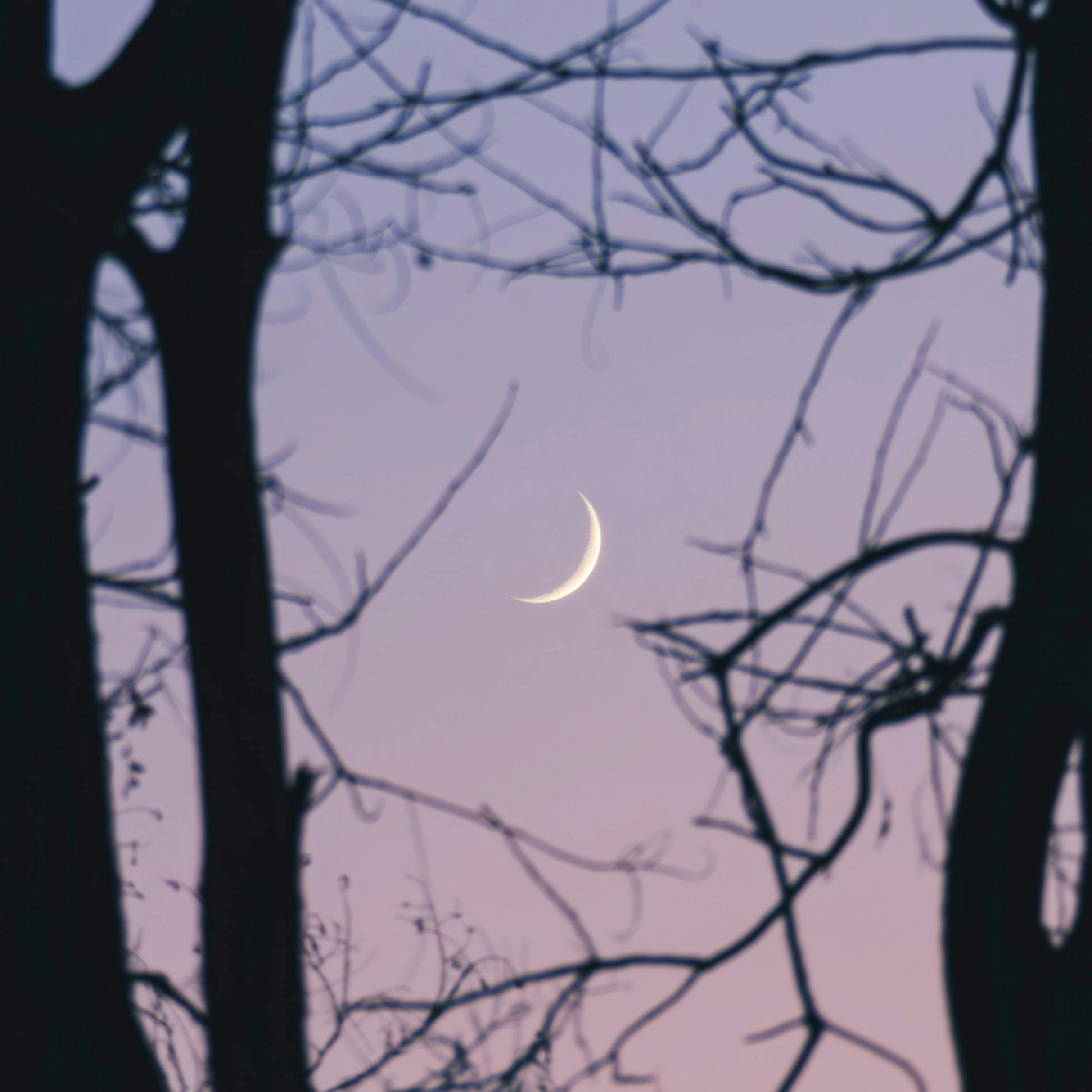

« Ai-je des signes différents en astrologie védique ? »

Oui. L'astrologie védique utilise le zodiaque sidéral.</p></p>

<h3>« Quel est le lien avec la numérologie ? »</h3>

<p>L'astrologie et la numérologie sont des systèmes complémentaires. Alors que vos trois grands signes décrivent votre personnalité à travers les positions célestes, la numérologie utilise votre date de naissance et votre nom pour révéler votre chemin de vie et vos aspirations profondes. Nombreux sont ceux qui combinent les deux pour obtenir une vision multidimensionnelle d'eux-mêmes.

Conclusion : Utiliser ces connaissances pour la découverte de soi

Vos signes solaire, lunaire et ascendant sont bien plus que de simples étiquettes : ils constituent une carte personnelle de vos motivations conscientes, de vos courants émotionnels sous-jacents et de votre identité. En prenant le temps d'apprendre comment ces trois éléments interagissent, vous cessez de vous enfermer dans un stéréotype zodiacal et commencez à embrasser votre complexité intérieure. Utilisez votre thème natal comme un outil d'introspection sincère plutôt que comme une prédiction rigide. L'objectif n'est pas de vous enfermer dans une case, mais de vous révéler toute la palette de votre être. AIFATE est conçu pour vous accompagner dans ce cheminement, en vous aidant à calculer et à comprendre vos trois grands thèmes astraux, à explorer vos schémas relationnels grâce à l'analyse de votre thème amoureux, et à suivre les cycles changeants grâce à une carte des transits ou une carte de retour solaire. Plus vous vous familiariserez avec votre thème astral, plus vous comprendrez que l'astrologie est un langage de connaissance de soi, et que vos signes solaire, lunaire et ascendant en constituent le vocabulaire premier et essentiel.</div><section class=