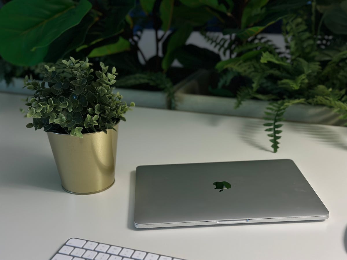 Clean minimalist workspace with laptop and green plants