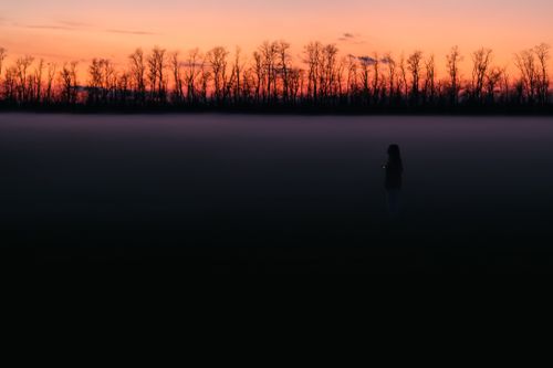 Free Silhouette of a person at dusk with mist and bare trees creating a serene and mysterious scene. Stock Photo