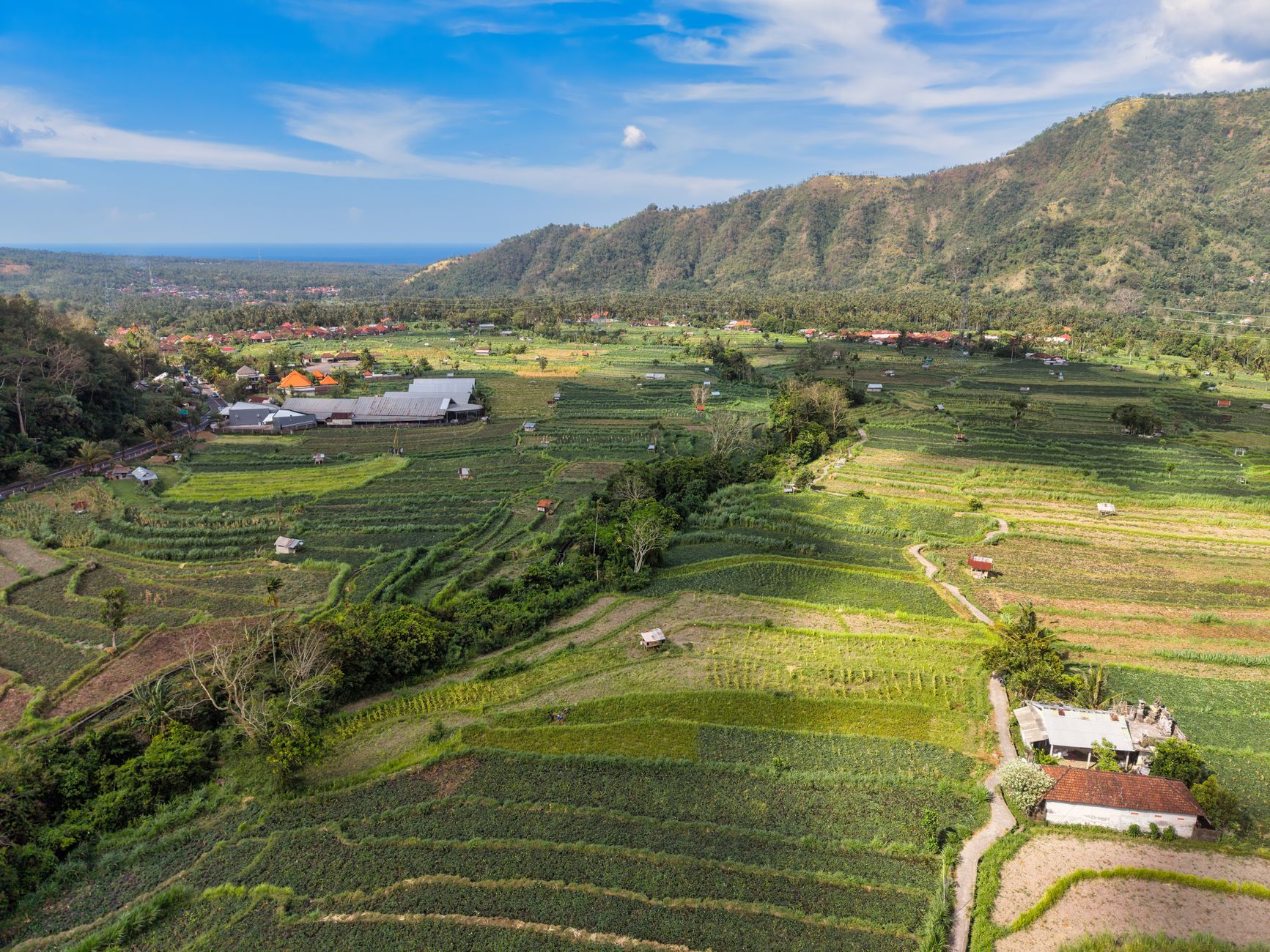 Stunning aerial view of lush terraced fields in Bali, Indonesia, with mountains in the background.