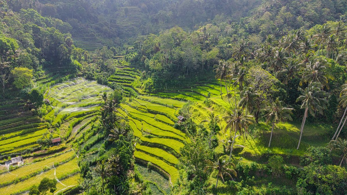 Harikalar Diyarı Bali - Ubud Turu Rotası