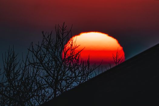 A breathtaking sunset creates a dramatic silhouette of a leafless tree against the vibrant sky.