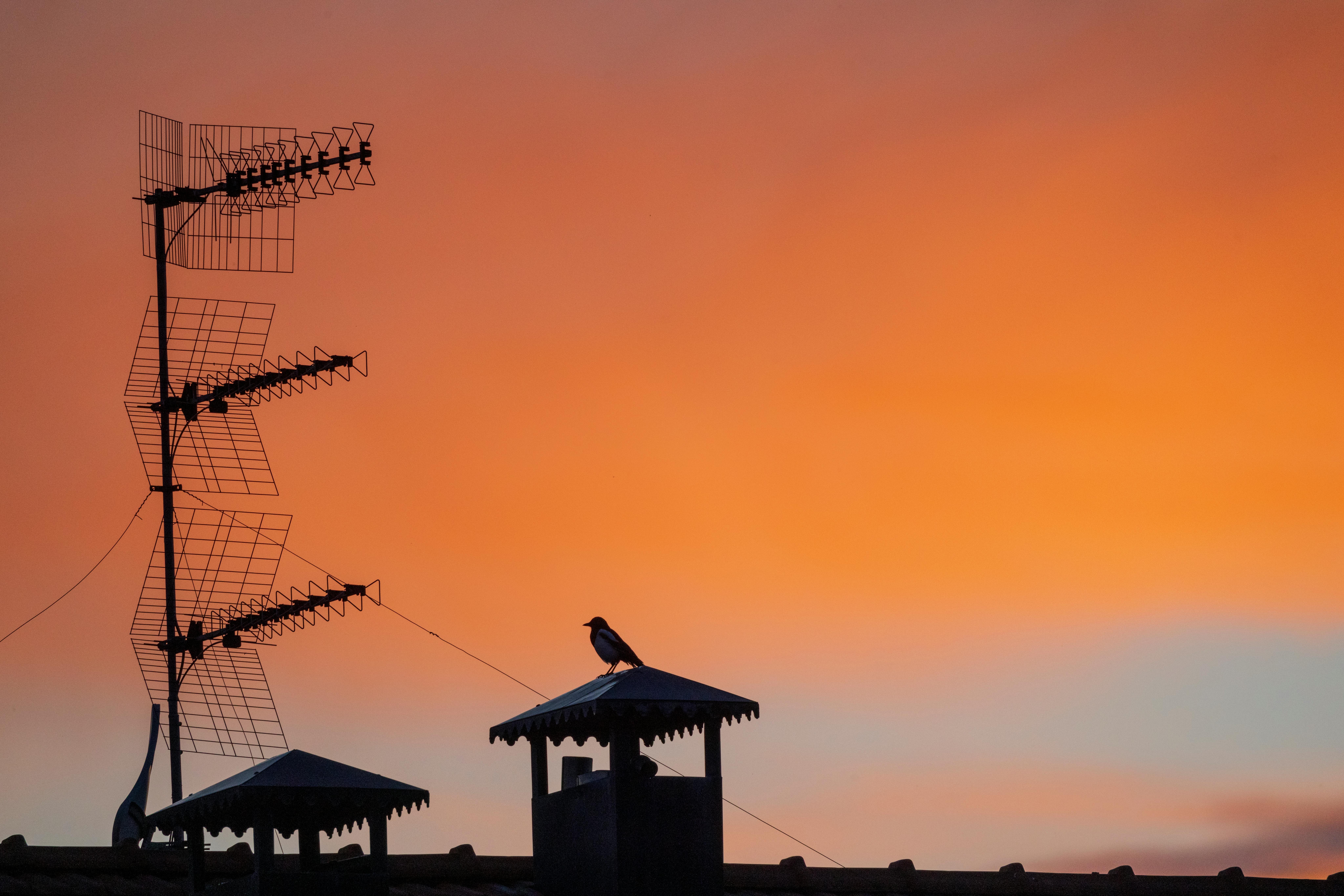 Discovering Innovative Communication Platforms for Modern Connectivity