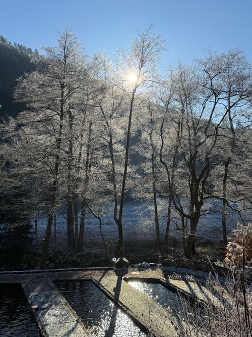 Free Beautiful frosty trees at sunrise in a peaceful winter forest landscape. Stock Photo