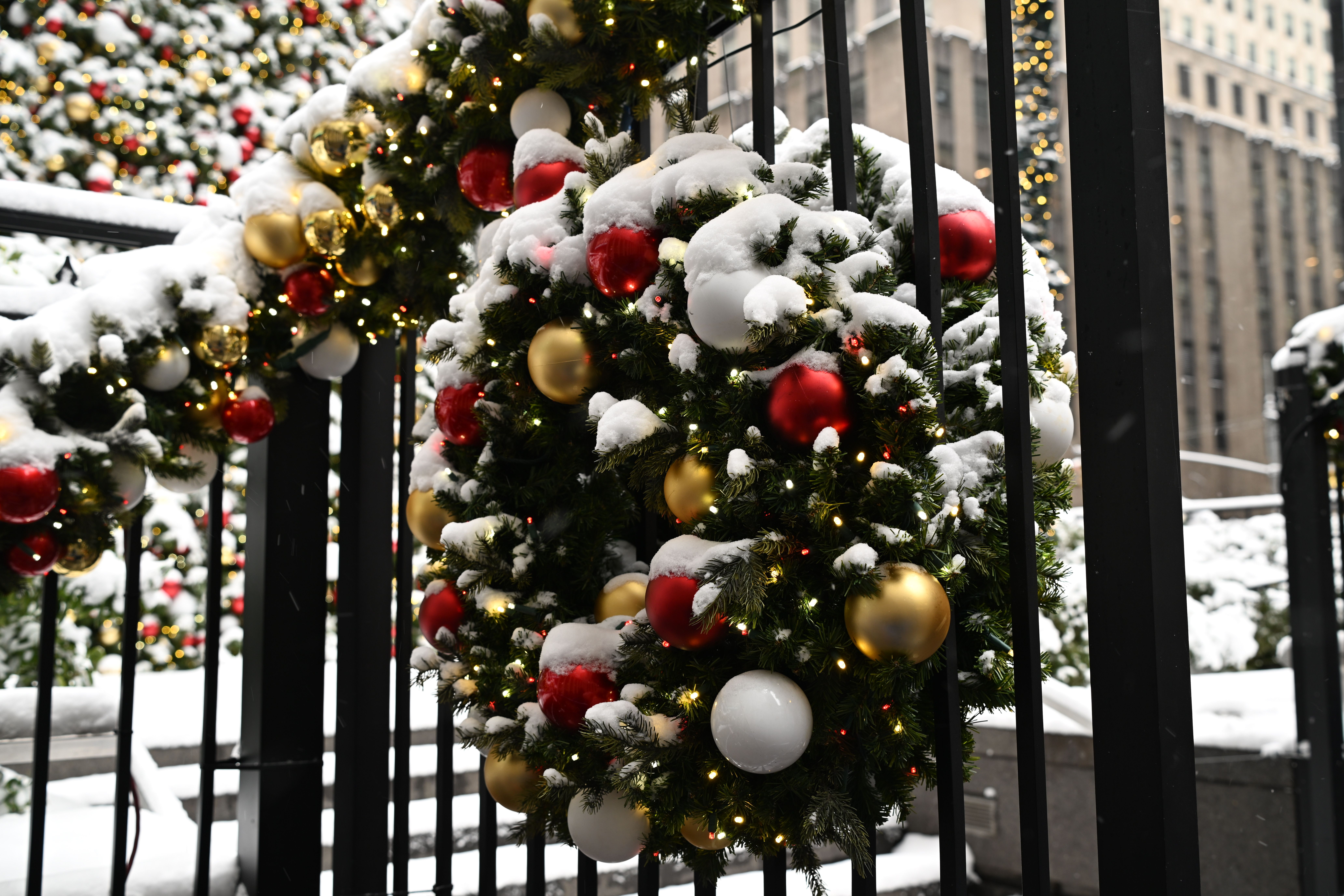 Christmas arrives at the White House. See photos, video of decor. — Photo by Victor Zhang on Pexels