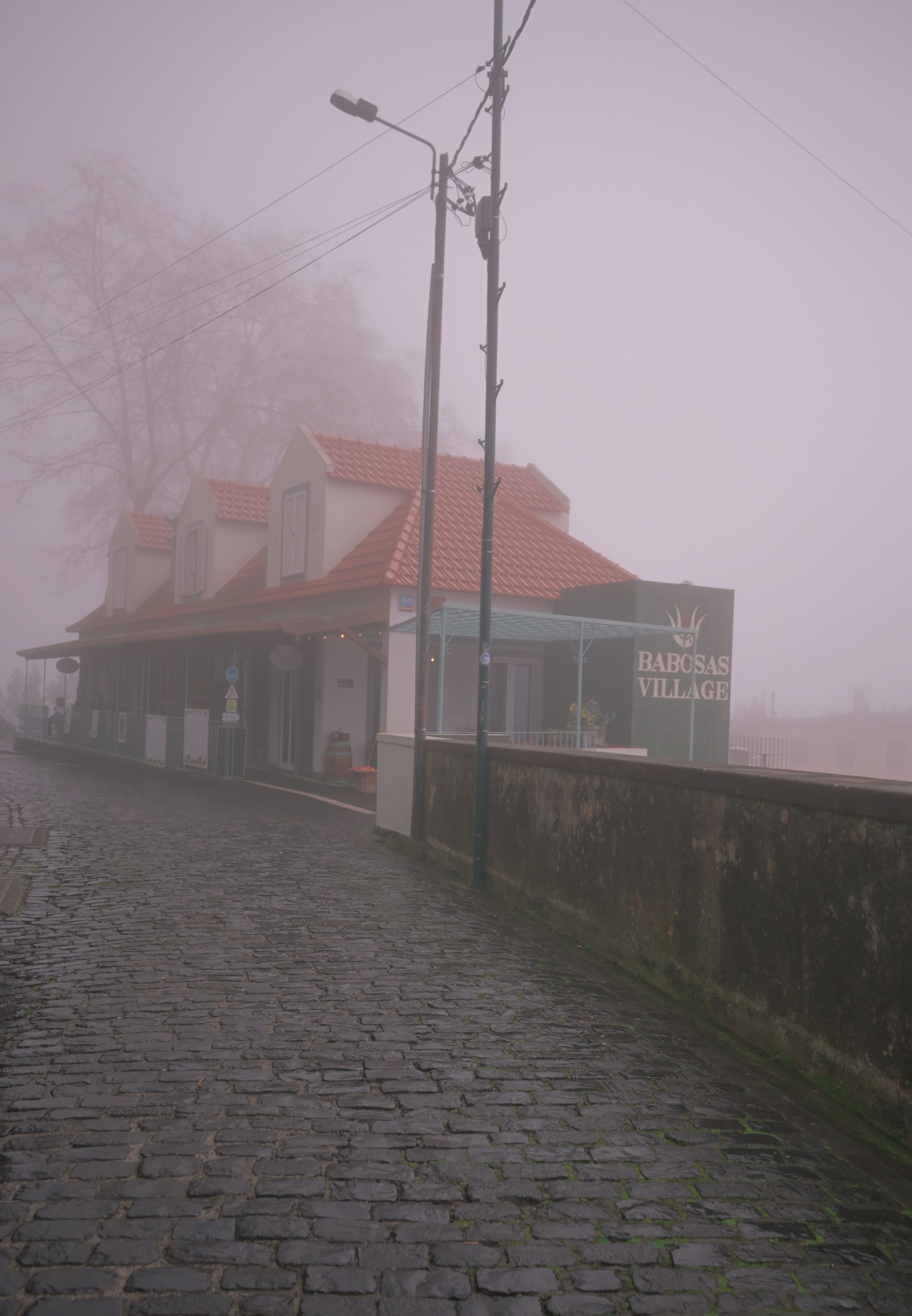 Explore the serene misty landscape of Babosas Village, Madeira. Perfect for travel and nature enthusiasts.