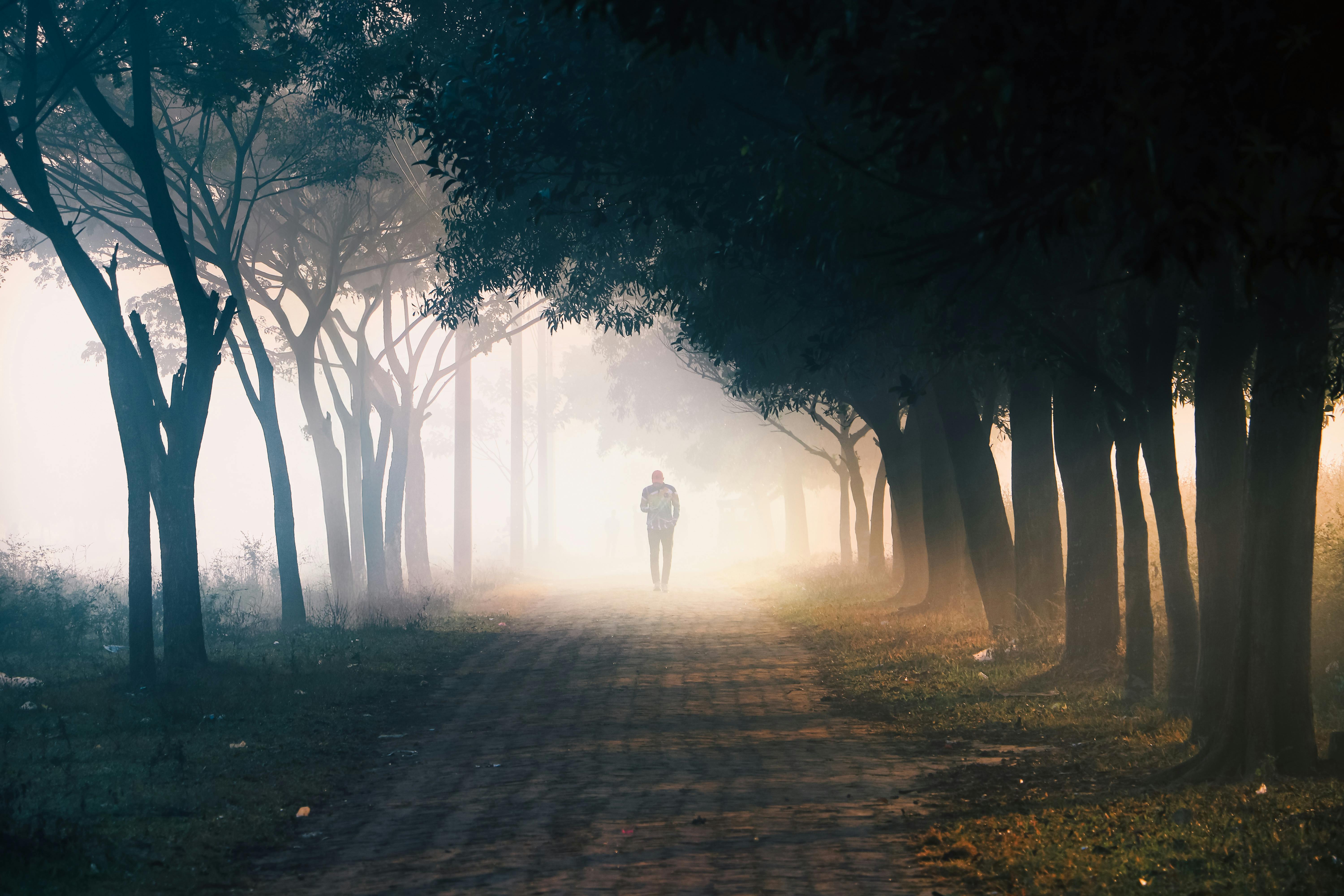 Healthspan White Paper: The Data-Driven Path to Longevity — Photo by Abdur Rahman Saikat on Pexels