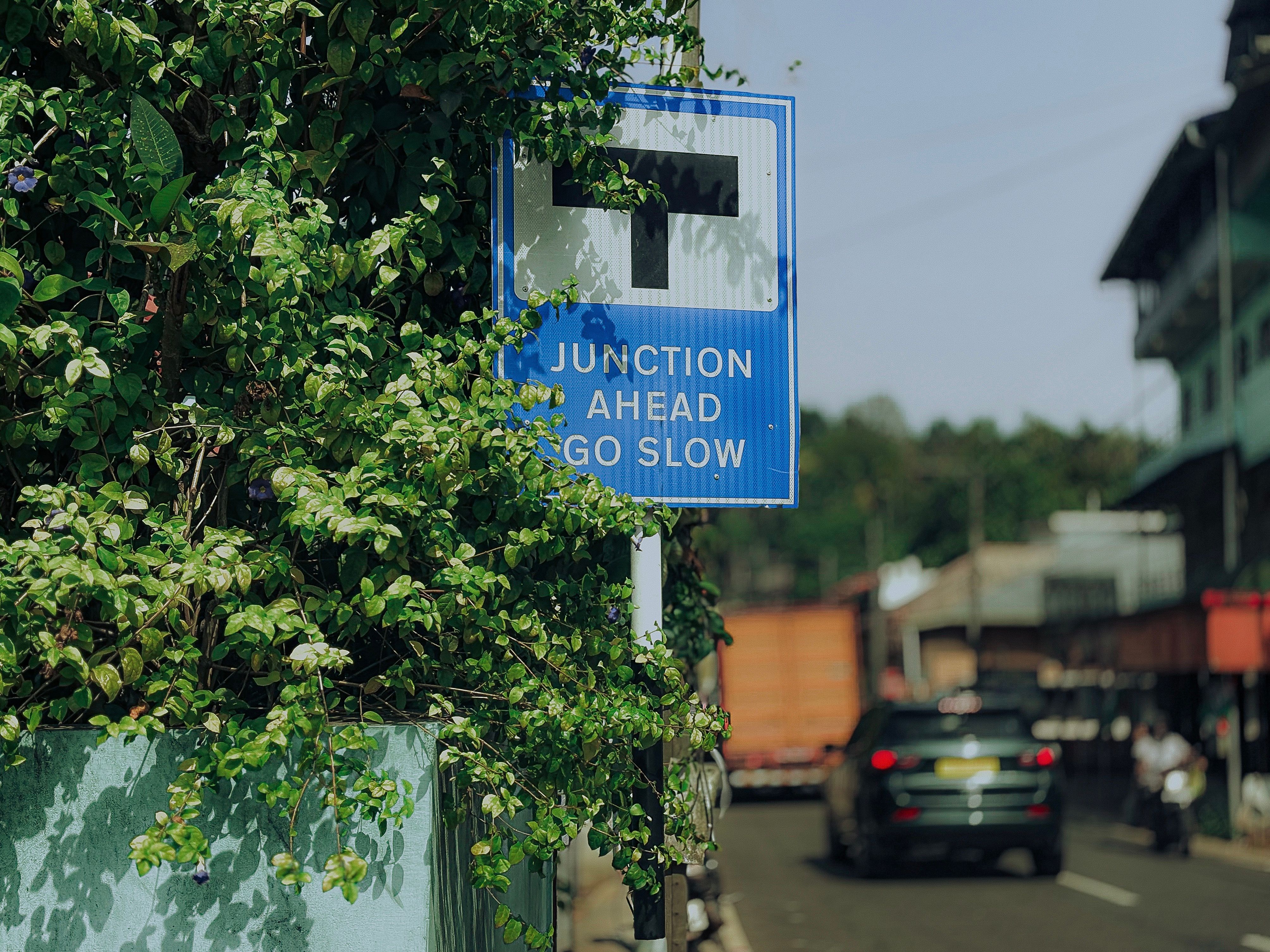 A T-junction traffic sign surrounded by foliage in Ernakulam, India, indicating caution.