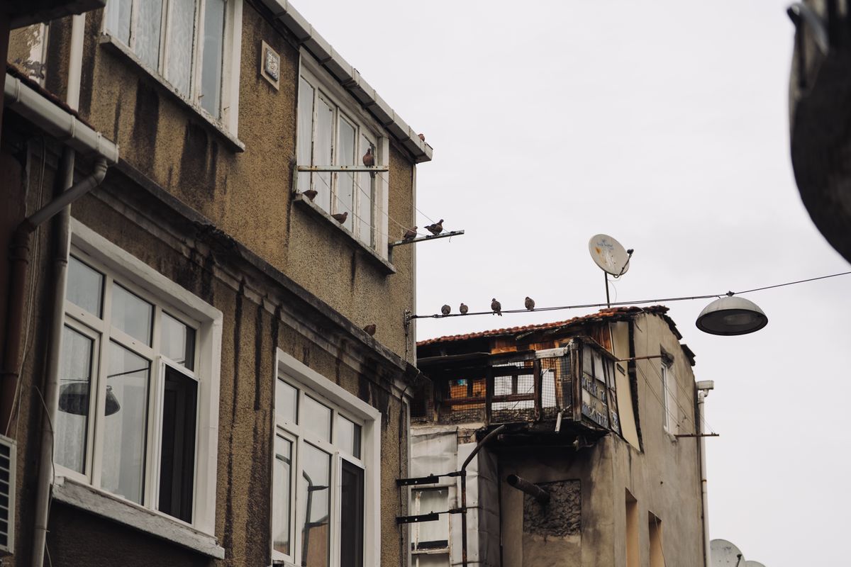 DIY-Balkon-Sichtschutz: 5 einfache + kreative Ideen zum Umsetzen — Material-Übersicht