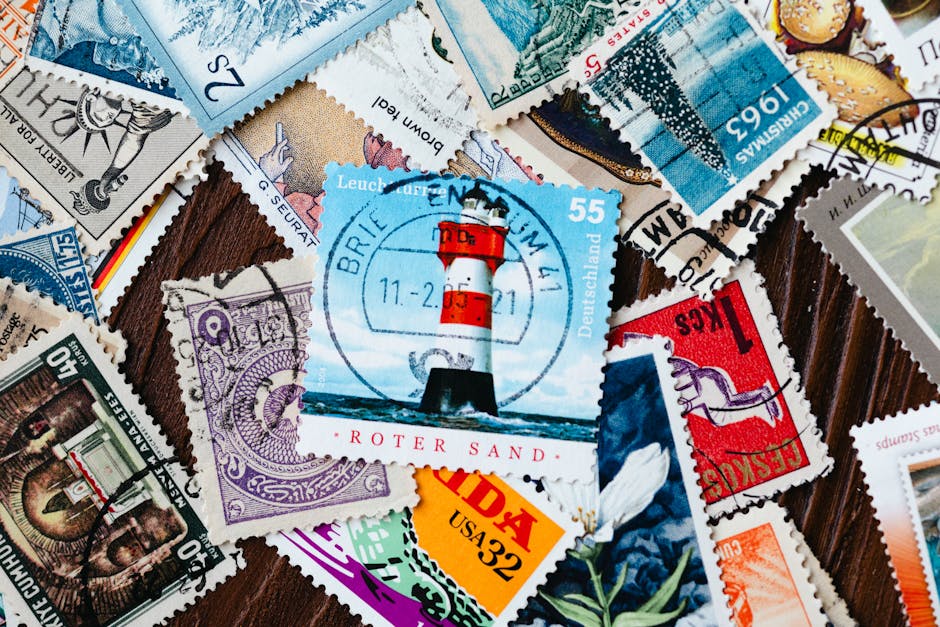 Email Not Arriving? Fix Deliverability Issues