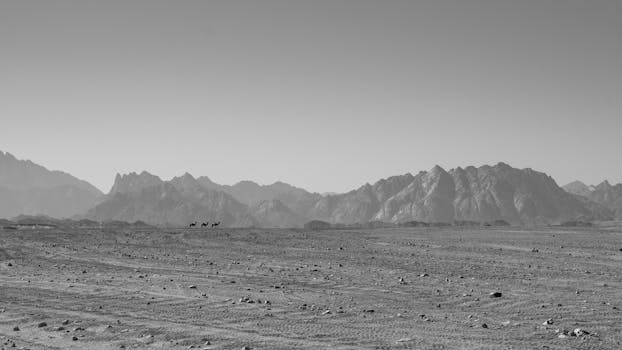 A camel caravan traverses a remote, vast desert landscape with rocky mountains.
