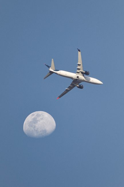 Calendar with highlighted cheap flight days