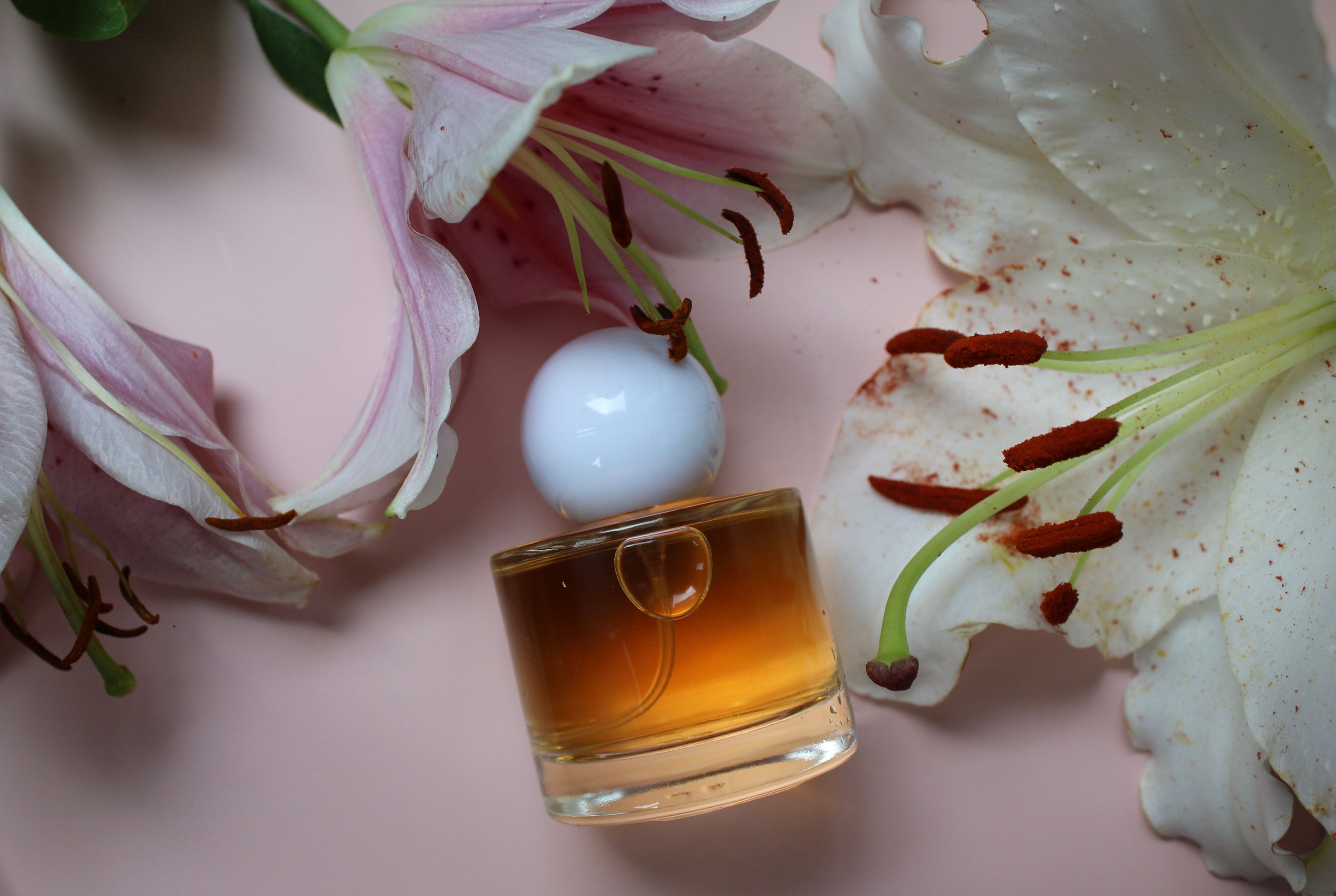 Flacon de parfum en gros plan sur fond doux