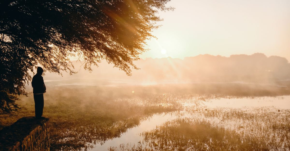 A serene silhouette of a person standing by a misty lake at sunrise, capturing tranquility.