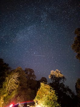 Beautiful star-filled night sky over a forest in Himachal Pradesh, India.