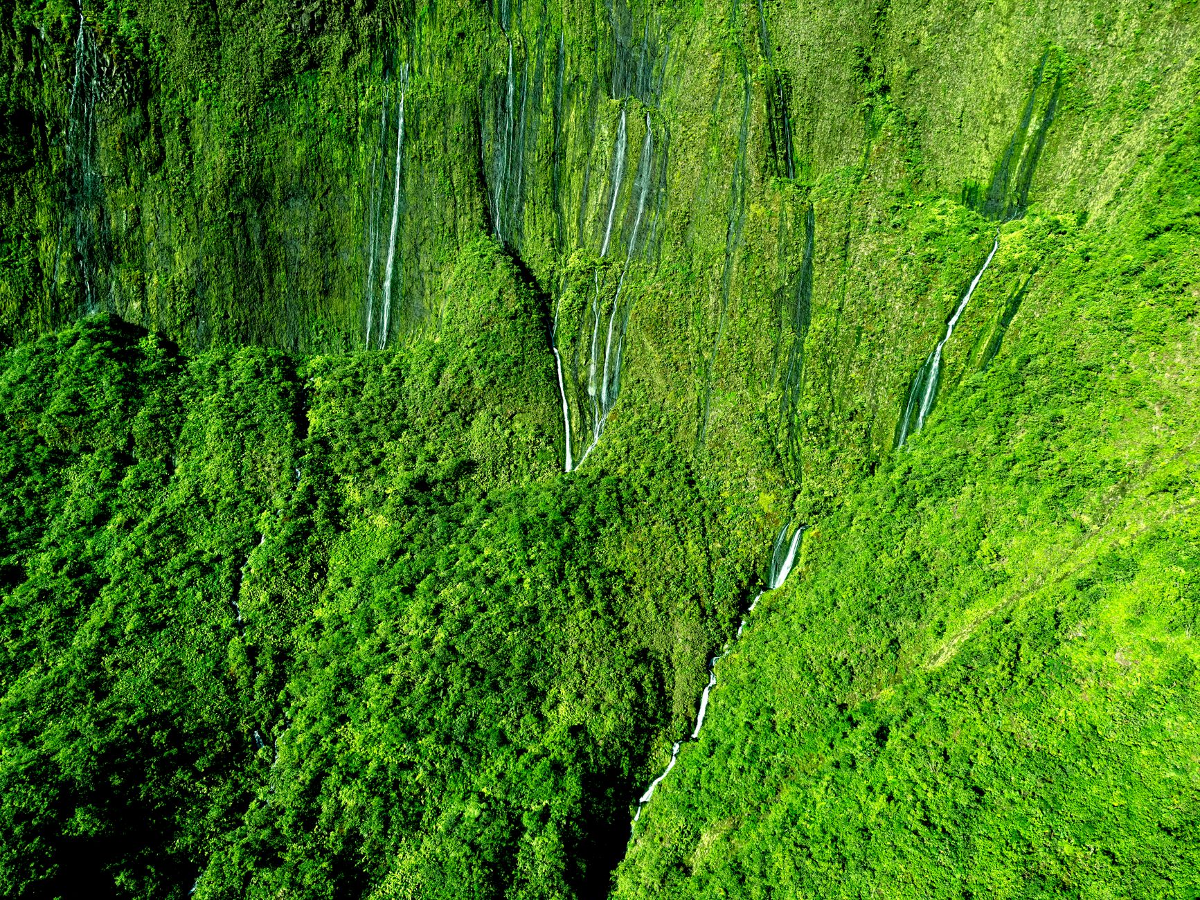 Grün & Atemberaubend in der Natur – Lebendiges Landschaftsfoto
