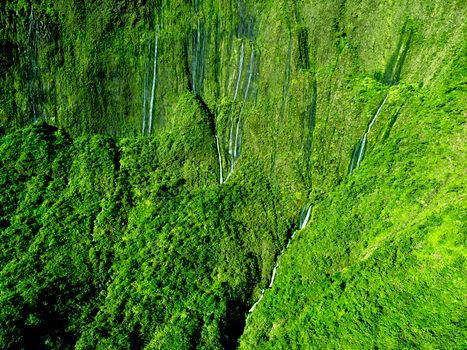Grün & Atemberaubend in der Natur – Lebendiges Landschaftsfoto